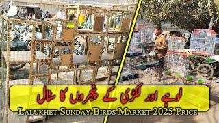 Wooden & Iron Cages Stall in Lalukhet Sunday Birds Market 2025 Price | Danish Ahmed Vlogs