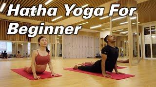 40-Minutes Yoga At Home For Beginner Based On Hatha Yoga Flow | Yograja | Yoga Hanoi Vietnam