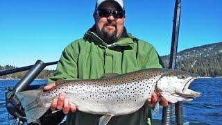 Trout Strategy: Lake Almanor