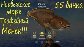 Трофейный Менёк на Норвежском море! рр4