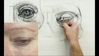 ANATOMY FOR ARTISTS: Eye Anatomy