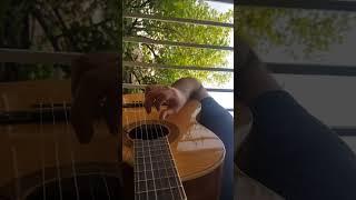 Eminem - mockingbird