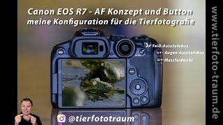 EOS R7 Buttons Konfiguration und AF Konzept