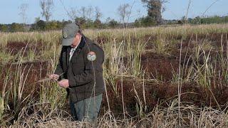 SCDNR Category I Waterfowl Area Update