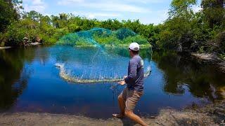 What lives in this little pond? {Let's find out!} Cast Netting 1000's of fish