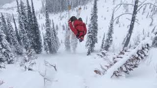 Friends on a Pow Day