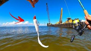 Wading for FLOUNDER! in the BAY Using *SCENTED* Artificial LURES