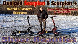 Scorpion & Scorpion + 1st Ride! Final Product & They're Awesome!