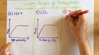 Limiting Factors of Photosynthesis - p48 (Foundation p47)