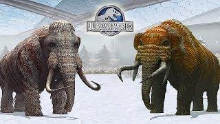 WOOLLY MAMMOTH VS MASTODON - CENOZOIC TOURNAMENT || JURASSIC WORLD THE GAME