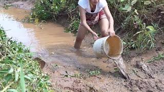 OMG!! Awesome Pretty girl catch a lot of fish Cambodia style  - Easy to net fishing in farm