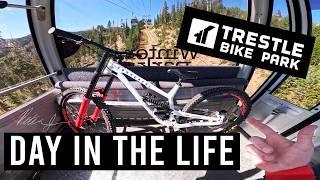 Living the MTB Dream: The Reality Of Living At A Bike Park