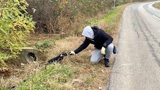 Abandoned Dog Without Hope Gets New Life