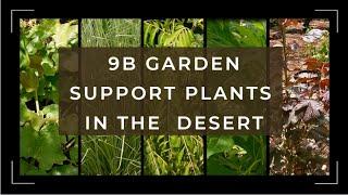 Zone 9B Permaculture Garden Support Plants