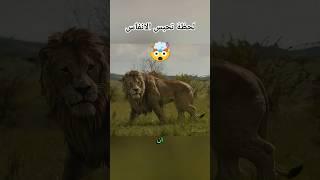 ولد واجه أسد الغابة وبقى عنده قوة خارقة! 