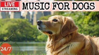 [LIVE] Dog MusicDog Calming MusicSeparation Anxiety ReliefDog Sleep Music for Dogs1-3