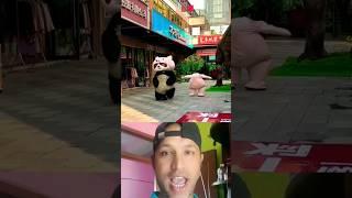 Funny viral panda   #trending #shorts ️