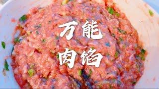 万能调肉馅秘诀，包子馅、饺子馅做法，鲜嫩多汁，劲而不柴！