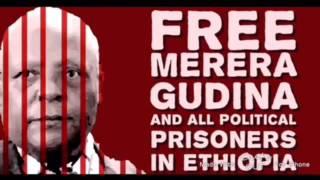 Walaloo Dr Merera Gudina by ibsaa Sabaa's