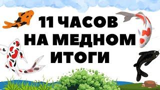 Челендж марафон 11 часов на медном озере РР4 / Русская рыбалка 4