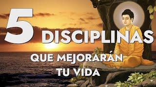 LAS 5 DISCIPLINAS QUE MEJORARÁN TU VIDA - DESARROLLO ESPIRITUAL  Enseñanza por energía Stuart Wilde