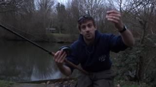 How do I catch Perch with Prawns? - The School Of Fish