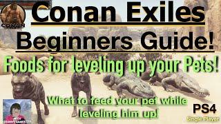 Foods for leveling your Pets! Conan Exiles Beginners Guide 20