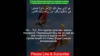 Коран Сура Аль-Мульк | 67:15 | Чтение Корана с русским переводом | #quran الملك