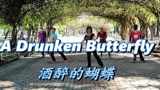 A Drunken Butterfly 酒醉的蝴蝶 - Line Dance( Beginner)(Tina Chen  & Juilin Chen)