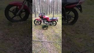 На мото за грибами #shortvideo #грибы #мотобудни
