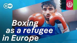 The first Afghan world champion? From refugee to boxing pro