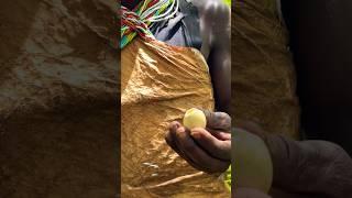 Hadzabe Drink An Egg