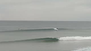 Donostia San Sebastián Royal beach. Gran playa Zarautz Surfing...