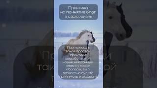 Практика на принятие благ в свою жизнь. #psychology #практика #принятие #shorts #нейронныесвязи