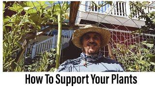 Green Thumb Hacks: DIY Plant Support Trellises