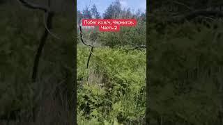 #киев #слава #топ #украинскаяармия #война