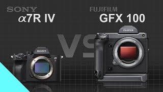 Sony alpha a7R IV vs Fujifilm GFX 100