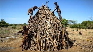 A House from Forest Sticks - Full Build - Hamer of Ethiopia