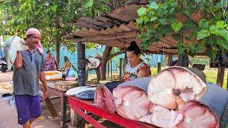 Amazing Huge Fish Cutting Skills at Coastal Village Market