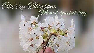 Mom’s Special: One More Trip Around the Sun—With Style, Smiles, and Shopping | Kiko Milano | Walmart