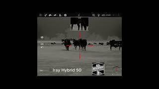 InfiRay Outdoor Rico Hybrid 50-640