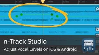 Adjust Vocal Levels (Vocal Riding) on iOS & Android | n-Track Studio