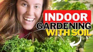 Growing Lettuce Indoors With Potting Soil & No Hydroponics. 3 Things To Consider Growing Indoors 