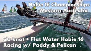 Inside Hobie Sailing w/ Paddy & Pelican | '23 WA Hobie 16 States | Rockingham, Australia