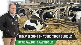 Cubicle Dimensions & Bedding on Young Stock Cubicles - David Waton, UK