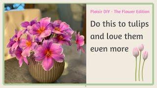 DO THIS! and marvel at your tulips! Why we love tulips so much. Tulip flexing.