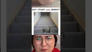 Кто стоит или лежит