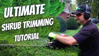 The Ultimate Shrub Trimming Tutorial | Keith Kalfas