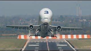 People say whales can't fly ? EXTRA THICC Aircraft Beluga