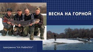 Весна на горной реке